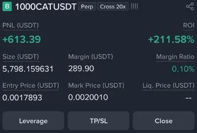 1000CAT Futures Profit Proof (+211%) - CryptoSphere Audited Signal Setup