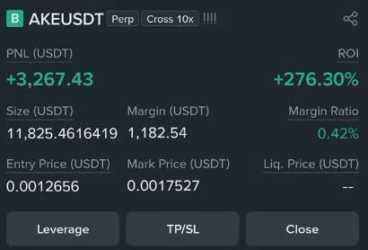 AKE Futures Profit Proof (+270%) - CryptoSphere Audited Signal Setup