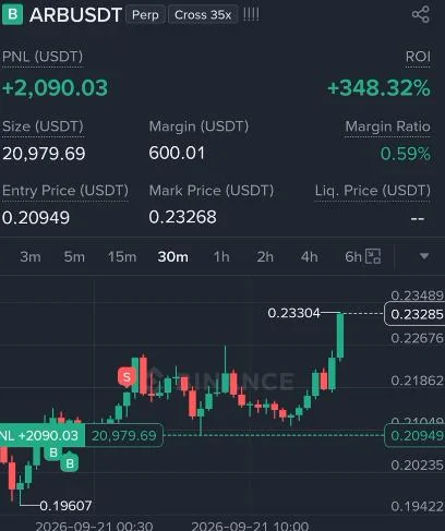 ARB Futures Profit Proof (340%) - CryptoSphere Audited Signal Setup