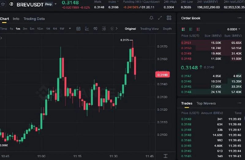 BREV Futures Setup Chart - Signal #BREV28907546