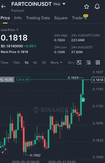 FARTCOIN Futures Setup Chart - Signal #FARTCOIN55234516