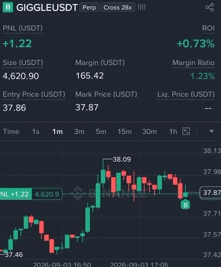 GIGGLE Futures Setup Chart - Signal #GIGGLE67001410
