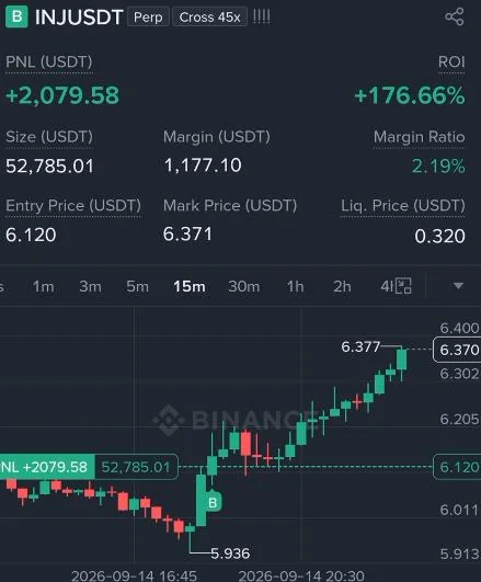 INJ Futures Profit Proof (176%) - CryptoSphere Audited Signal Setup