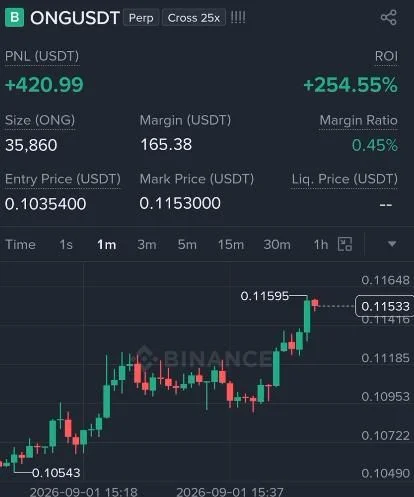 ONG Futures Profit Proof (+254%) - CryptoSphere Audited Signal Setup