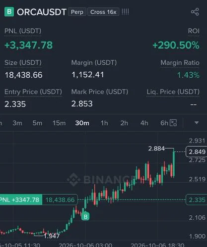 ORCA Futures Profit Proof (290%) - CryptoSphere Audited Signal Setup