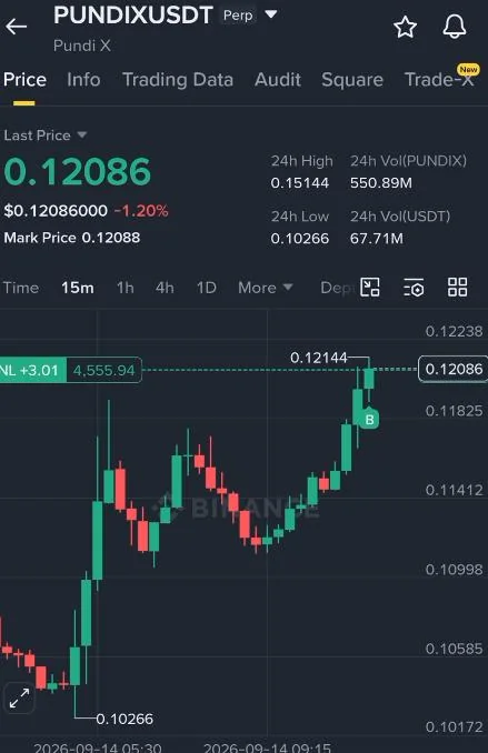PUNDIX Futures Setup Chart - Signal #PUNDIX19917938