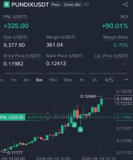 PUNDIX Futures Profit Proof (90%) - CryptoSphere Audited Signal Setup