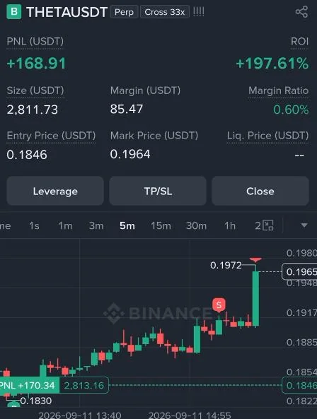 THETA Futures Profit Proof (197%) - CryptoSphere Audited Signal Setup