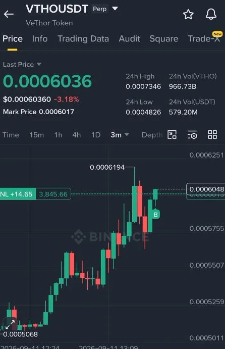 VTHO Entry Setup